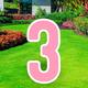 Pink Number (3) Corrugated Plastic Yard Sign, 30in